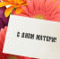 Поздравление главы города Махачкалы Мусы Мусаева с Днем матери - Администрация Махачкалы