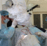 © Новый мир (г.Ахты) [1/1] - MoiDagestan.Ru