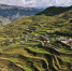 Молодежь Дагестана призвала бизнесменов принять участие в программе развития горных районов - РИА Дагестан