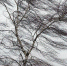 empty18888-752x440.jpg - Махачкалинские известия