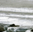 © Новые Известия [1/1] - MoiDagestan.Ru