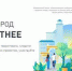 Стартовало всероссийское голосование за объекты благоустройства - Администрация Махачкалы