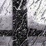 [1/1] - MoiDagestan.Ru