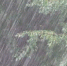 [1/1] - MoiDagestan.Ru