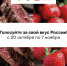 На стартовавшем голосовании конкурса «Вкусы России» можно поддержать четыре дагестанских бренда - Министерство сельского хозяйства