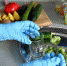 Роспотребнадзор контролирует качество и безопасность плодоовощной продукции - Роспотребнадзор