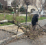 Городские службы Махачкалы ликвидируют последствия непогоды - Махачкалинские известия