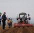 В Дагестане намерены расширить площади под картофелем и овощными культурами - Министерство сельского хозяйства