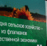 Абдулмуслим Абдулмуслимов принял участие в пленарной сессии о достижениях сельского хозяйства на выставке-форуме «Россия» - РИА Дагестан