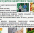 Профилактики заболеваний органов пищеварения - Вести Агула