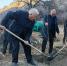 Древо возрождения - Дагестанская правда