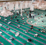 В Дагестане пройдёт грандиозный конкурс на призы Муфтия РД - IslamDag.Ru