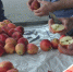 Дагестанский Россельхознадзор проверил 1400 тонн продукции - Дагестанская правда