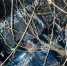 photo_5458653616899486252_y - МВД Республики Дагестан