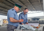 В Дагестане Россельхознадзором проконтролирован ввоз более 8500 партий подкарантинной продукции