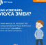 Укус змеи – это опасно! - МЧС