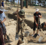 Громкое молчание Тутанхамона - Дагестанская правда