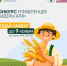 Всероссийский конкурс «Лидеры агропромышленного комплекса» - Министерство сельского хозяйства
