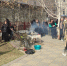 В Тляратинском районе прошел масштабный субботник - РИА Дагестан