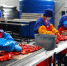 Рост производства плодоовощной консервной продукции в Дагестане в 2025 году превысит 25% - Дагестанская правда