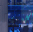 a0dcf019-9371-4a10-a049-206e4746b368 - Сетевое издание Мирмол