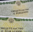 Свидетельство о рождении исключат из документов на въезд и выезд из России - Министерство транспорта