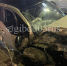 Восемь человек погибли в автоавариях за неделю в Дагестане - РИА Дагестан