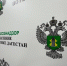 Россельхознадзор с помощью мобильного приложения провел 252 профилактических мероприятия в Дагестане - РИА Дагестан