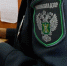 Россельхознадзор обнаружил нарушения при приёмке продуктов в махачкалинском детсаду - РИА Дагестан
