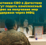 photo_2026-02-09 16.46.59 - Сетевое издание Мирмол