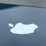 Жители Северного Кавказа – одни из главных ценителей ретро-смартфонов Apple - РИА Дагестан