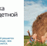 Госуслуги в 2026 году: от разрозненных сервисов к «жизненным ситуациям» - Минцифры РД