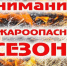 Пожароопасный период - Комитет по лесному хозяйству