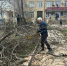 Дагестанские лесники оперативно устранили последствия наводнения в Сергокалинском районе - РИА Дагестан