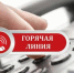 Горячая линия Народного Собрания продолжает свою работу - Народное Собрание