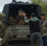Даглесхоз продолжает оказывать помощь в ликвидации последствий наводнения - Дагестанская правда
