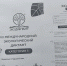 Экологическая грамотность: старт «Экодиктанта‑2026» - Министерство природных ресурсов